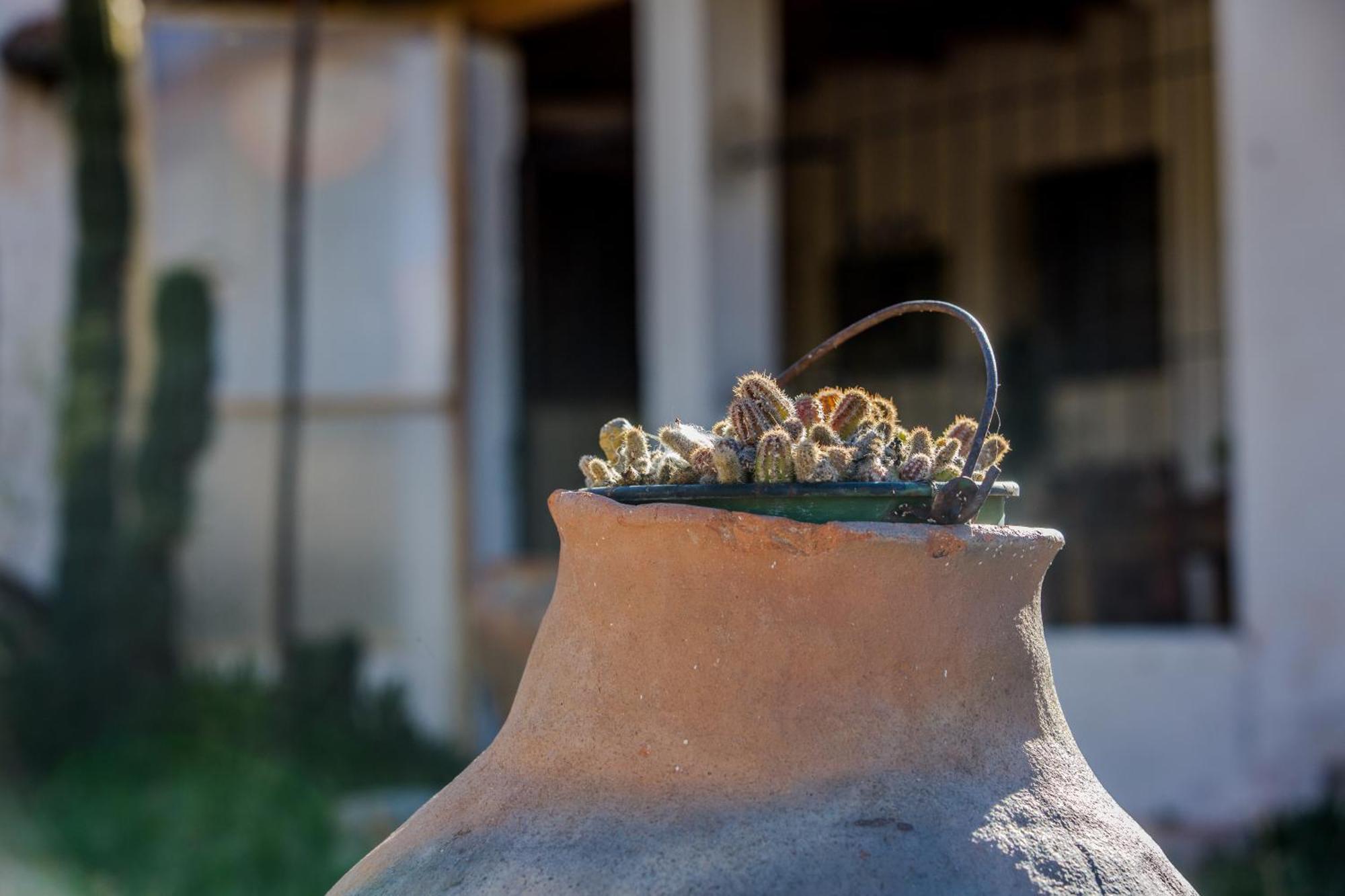 La Posada De Cloe Seclantás المظهر الخارجي الصورة