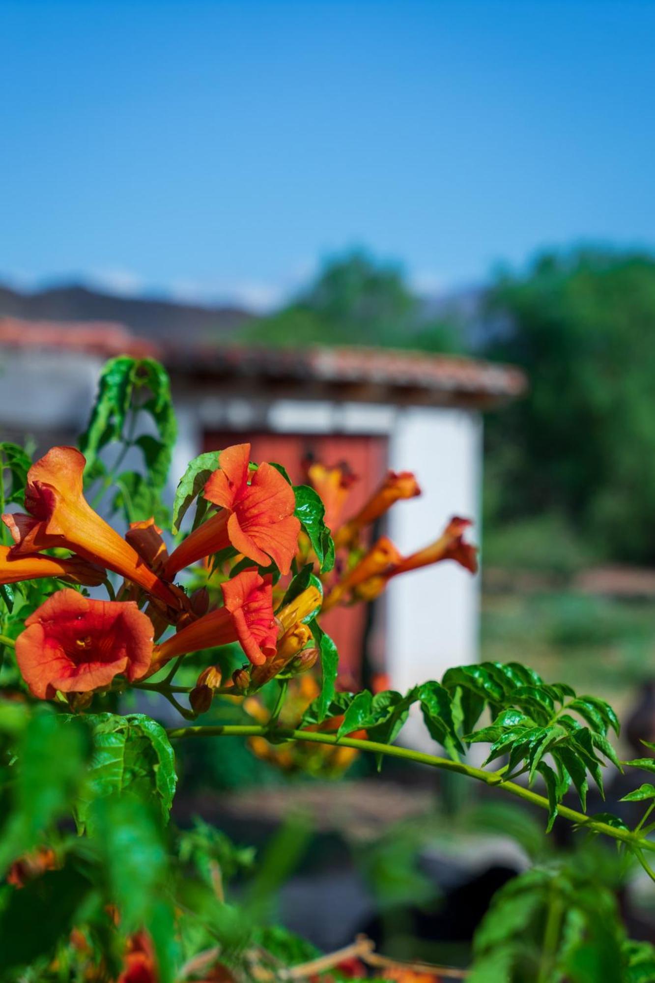 La Posada De Cloe Seclantás المظهر الخارجي الصورة